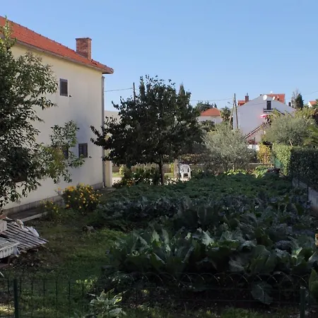 Appartement - Diklo 5804a Zadar